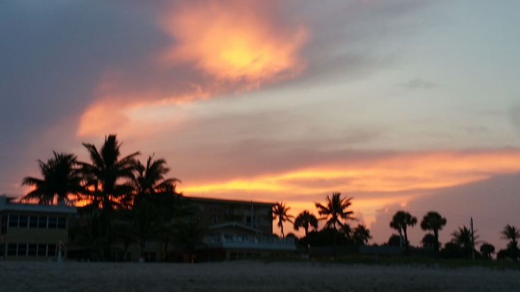 sunset with palm trees